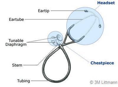 DasStethoskop.de > Stethoskope für Studenten, Studentenstethoskop